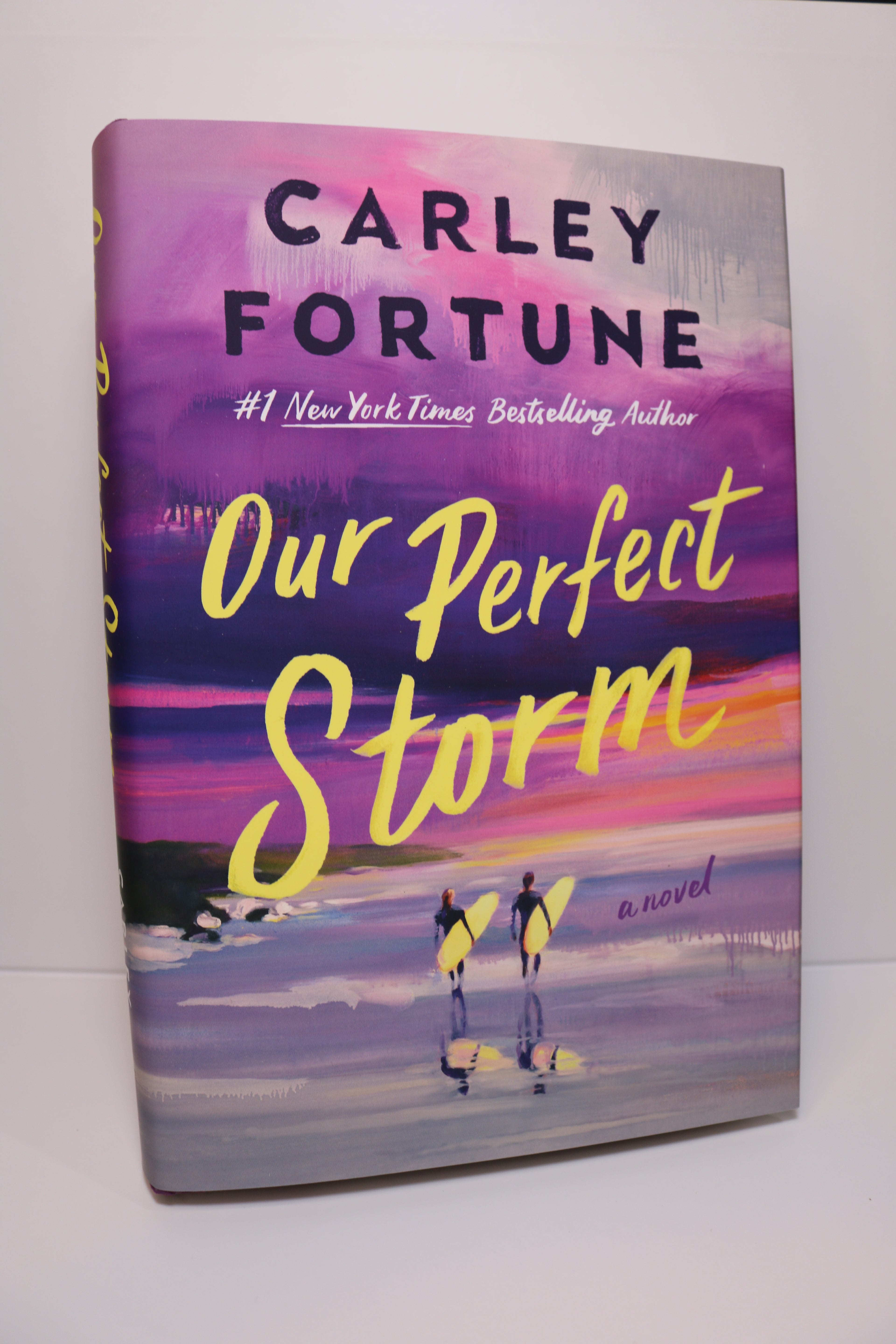 Our Perfect Storm